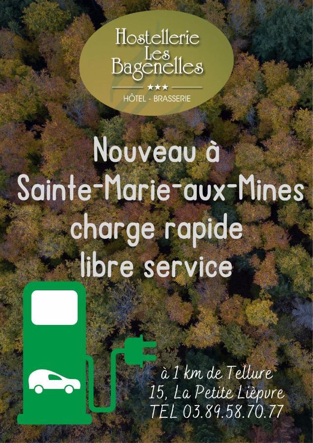 Hostellerie Les Bagenelles Sainte-Marie-aux-Mines Luaran gambar