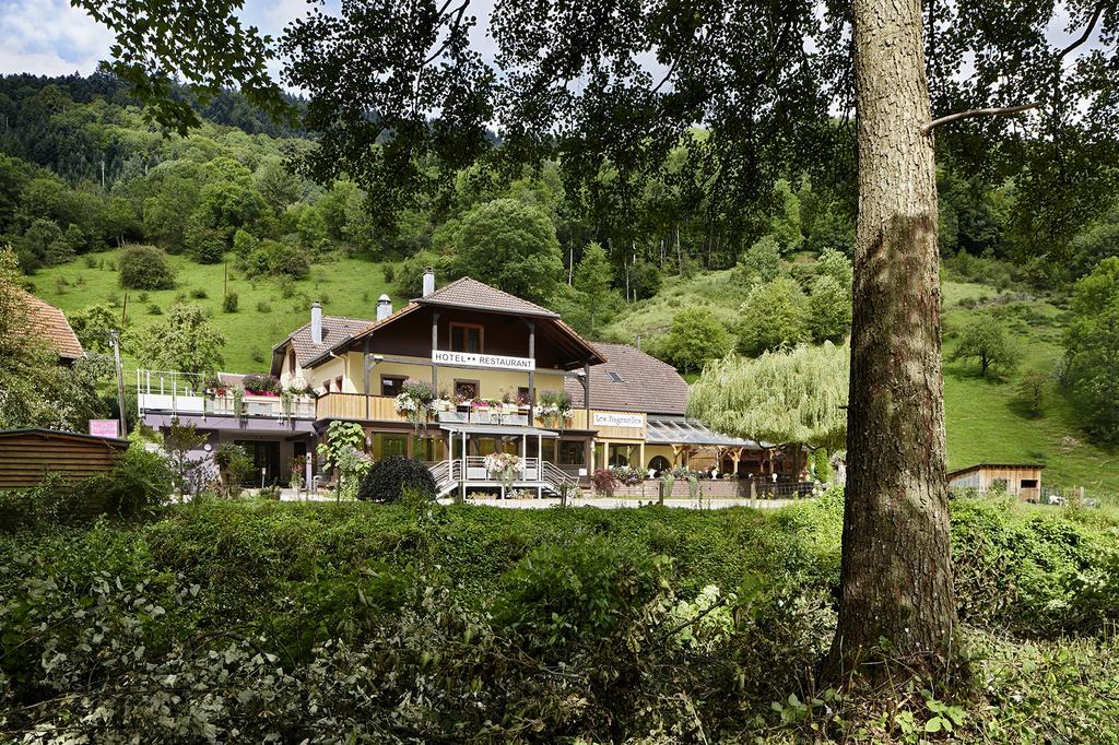 Hostellerie Les Bagenelles Sainte-Marie-aux-Mines Luaran gambar